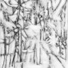 Into The Woods 8